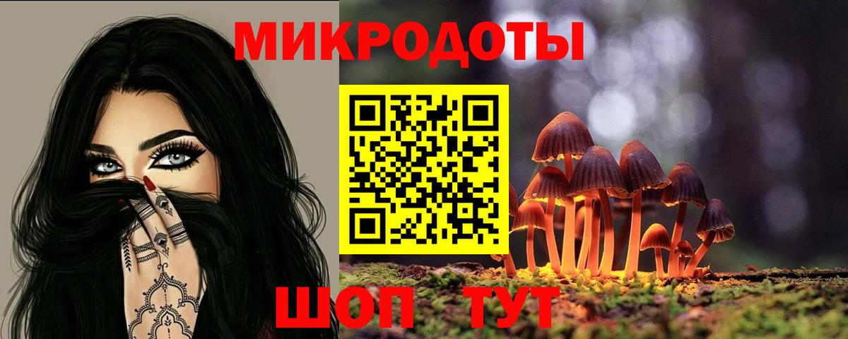 Галлюциногенные грибы Psilocybine cubensis  Вход с VPN  Славгород 